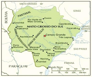 Certidao de Nascimento Mato Grosso do Sul 2